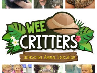 wee crittters online event